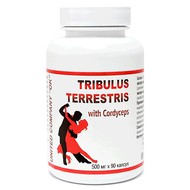     (Tribulus Terrestris with Cordyceps), 90%, 500 , 90 .